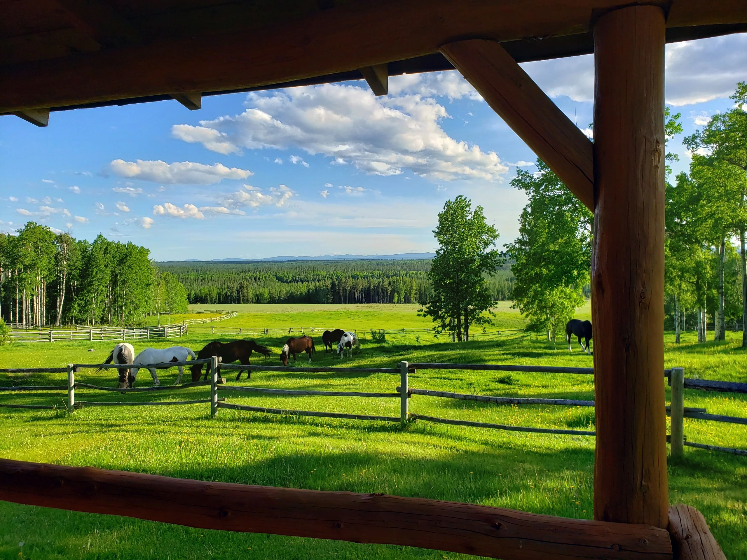 Ride the Wind Ranch — ranch-cabin-retreat
