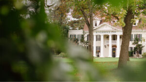 17-acre estate vineyard