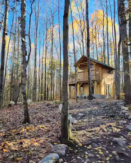 Settle into the stay