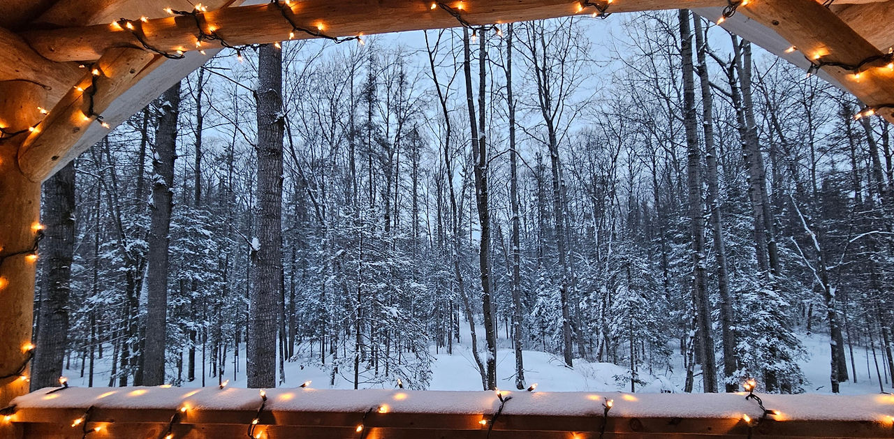 The Rustic Treehouse Hideaway — Treehouse B&B