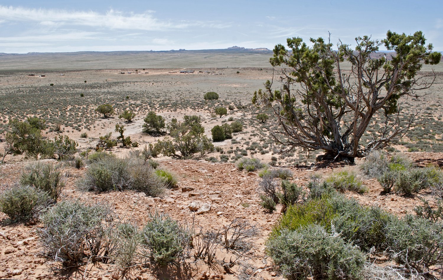 Clinical Team at Shash Diné EcoRetreat — Clinical Team