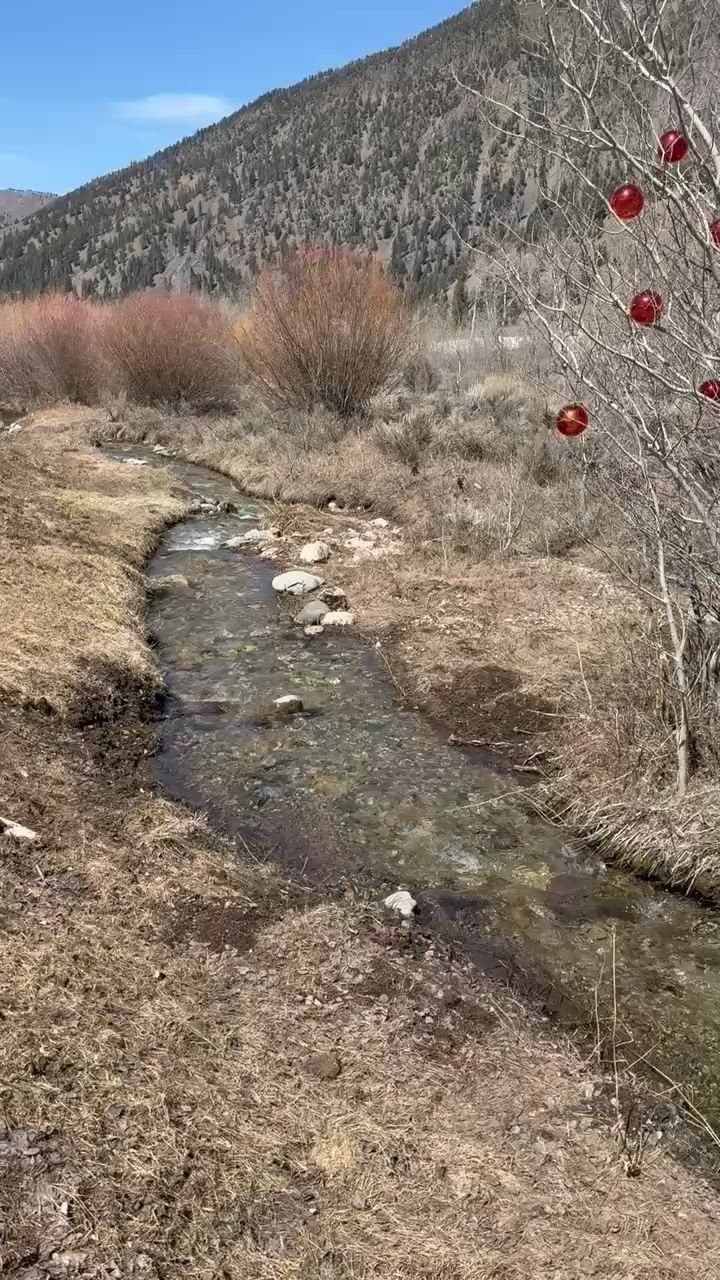 Arrive at Sheep Creek Ranch