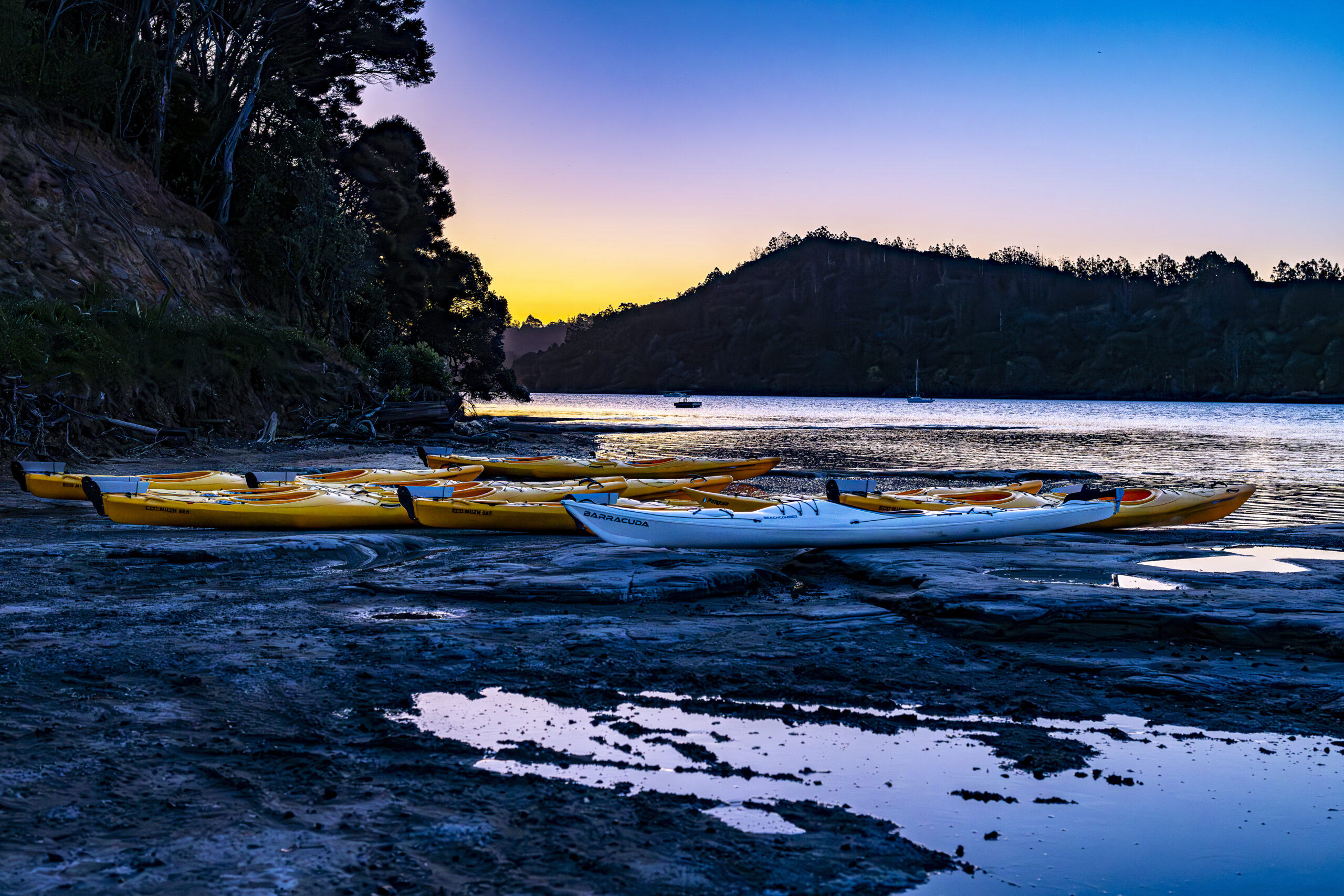 Social Nature Movement — Wellness Retreat