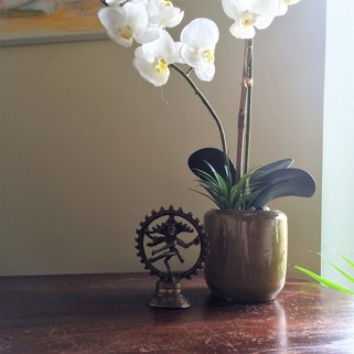Spirit Tree Yoga — Yoga Studio