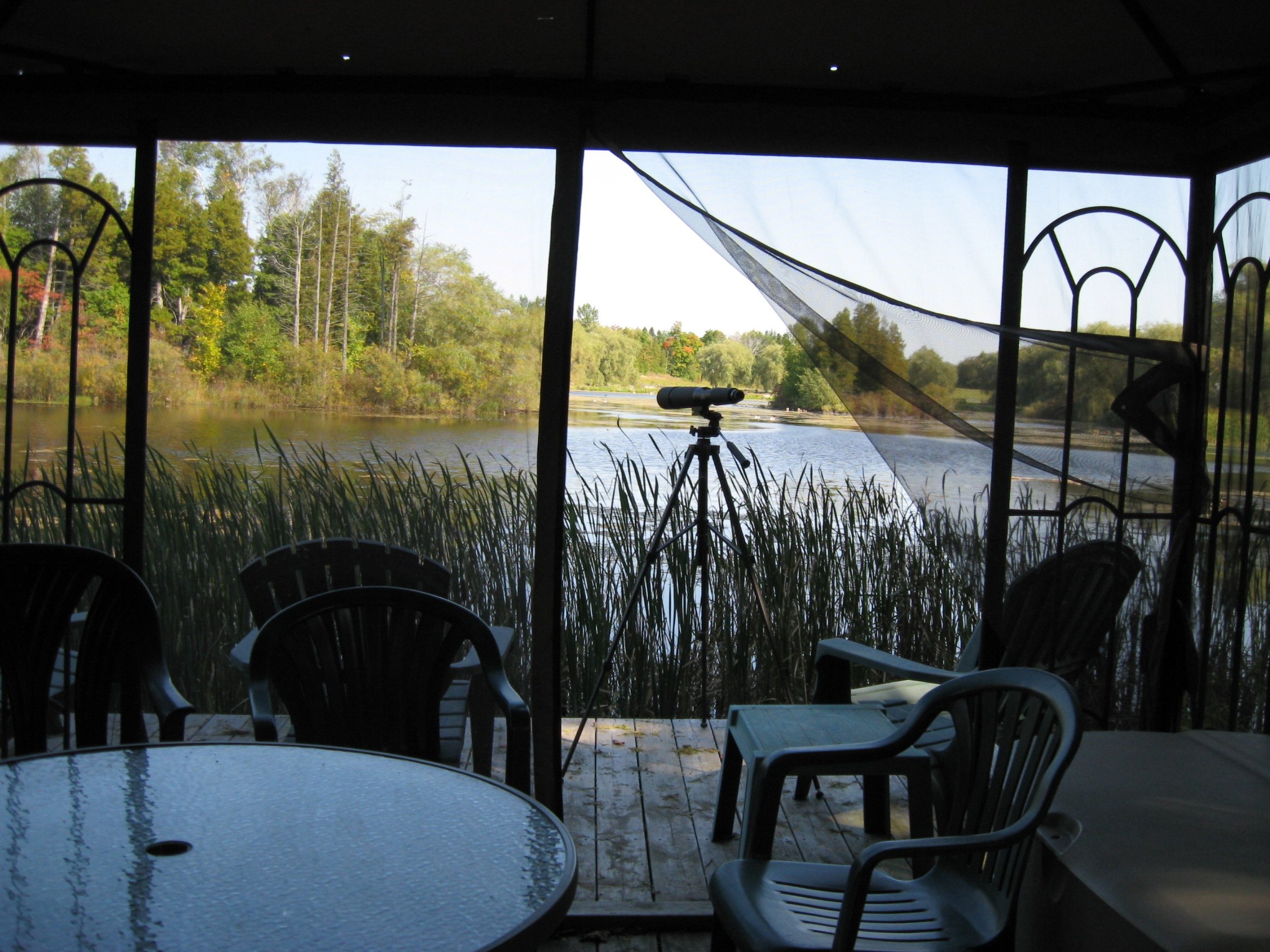 Thistlestone Farm — Farm Stay Retreat