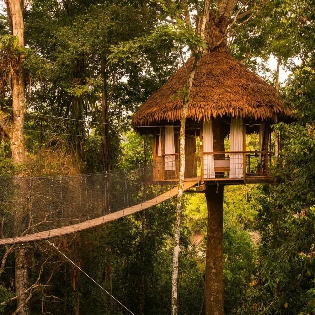 All-inclusive Amazon immersion