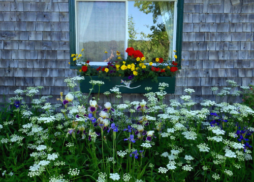 Grand Manan