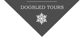 Winterdance Dogsled Tours