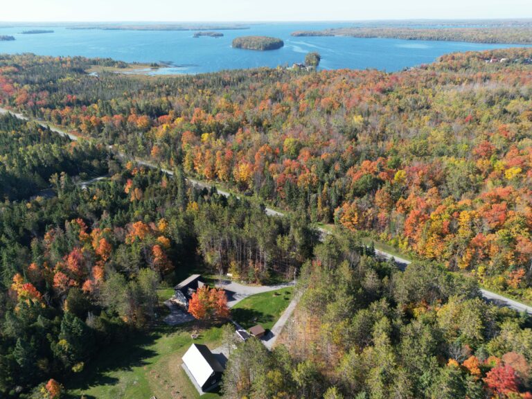 Woodland Escape Cottage Retreat — Forest Cottage Retreat