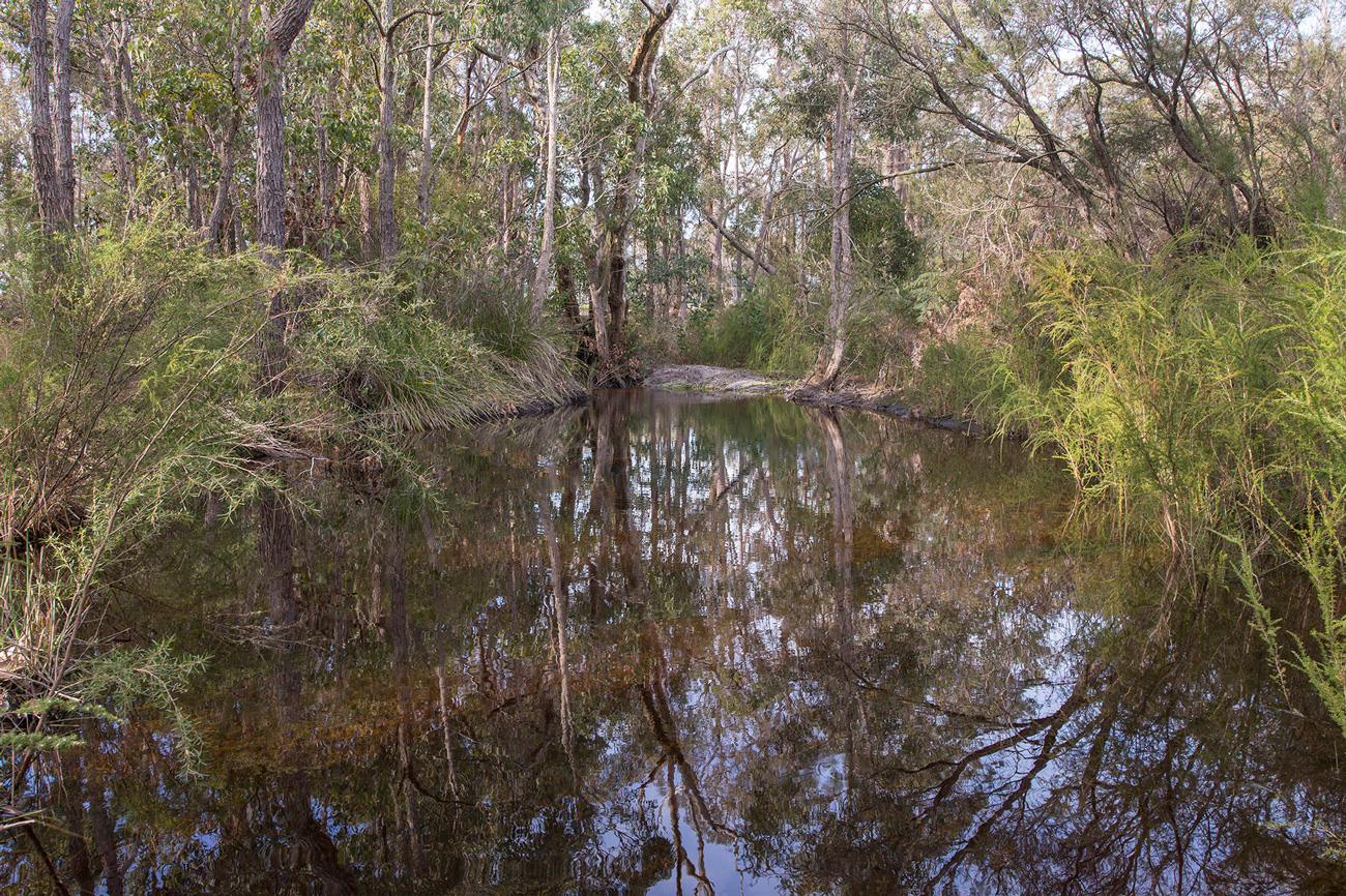 Conservation sanctuary calm