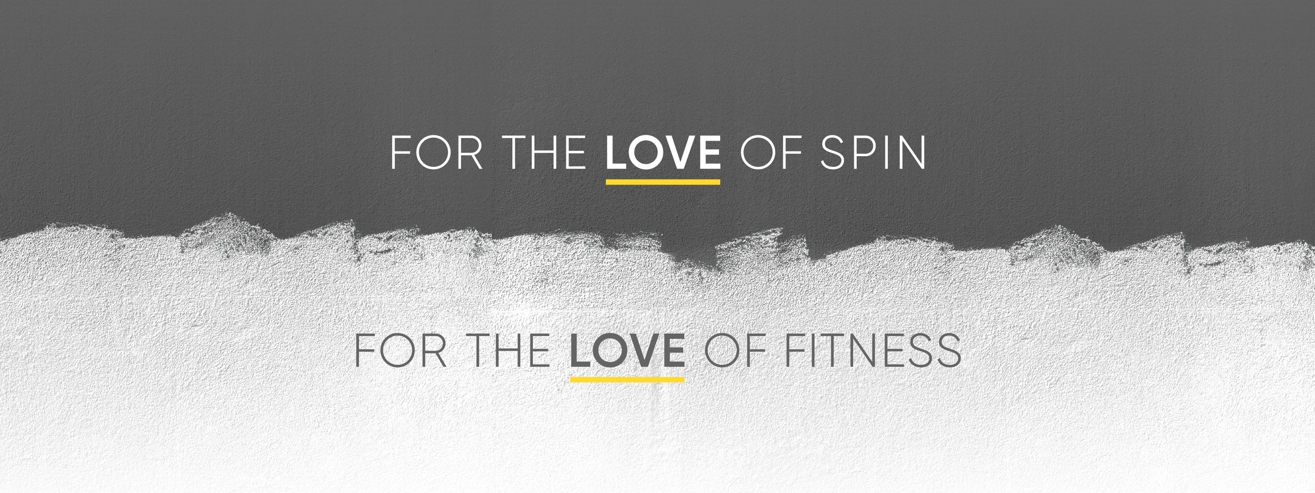 Zen Revolution Spin + Fitness — Fitness Studio